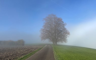 Nebelgrenze auf dem Ruswiler Berg  | Emmanuel Hüsler 