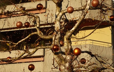 Weihnachtsschmuck «der anderen Art», entlang der Wolhuserstrasse in Ruswil | Urs Amrein, Ruswil 