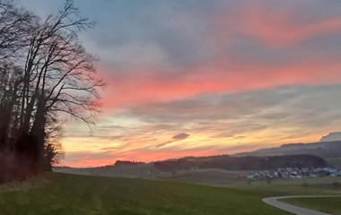 Wunderschöne Morgenstimmung in Buttisholz | Martha Moos